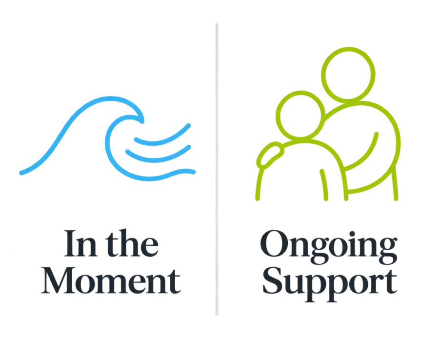 Icons comparing in-the-moment self-directed techniques with ongoing professional support