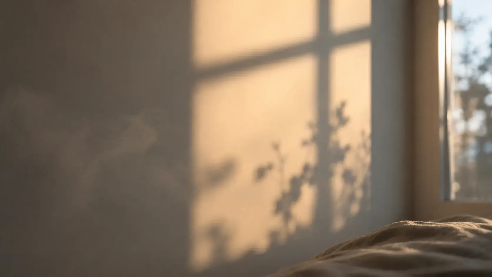 Soft light through a window, evoking the body settling into rest